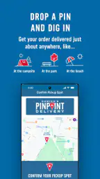 Domino's Pizza USA 5
