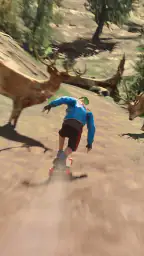 Downhill Racer 8