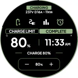 DRIVE Electric for Tesla 6