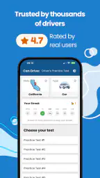 Driver's License Practice Test 8