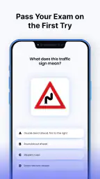 Driving Instructor: Road Test 2