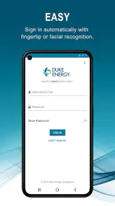 Duke Energy screenshot