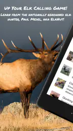 ElkNut 7