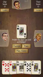 Euchre Pro 3