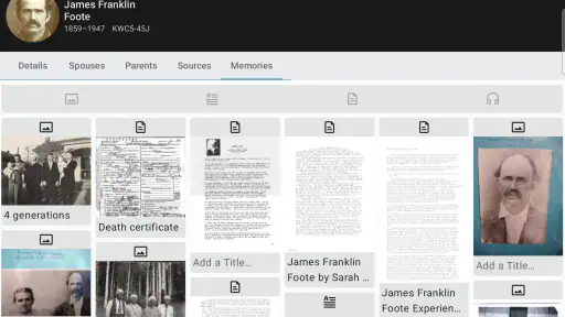 FamilySearch Tree 8