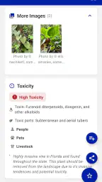 FFL Plants & Pollinators 5