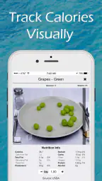 Figwee Visual Food Diary 1
