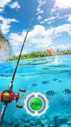 Fishing Rival 3D 1
