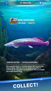 Fishing Travel screenshot