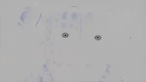 Five Nights at Freddy's 3 screenshot