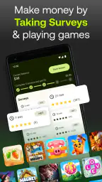 Five Surveys - Earn Money Fast 1