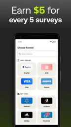 Five Surveys - Earn Money Fast 4