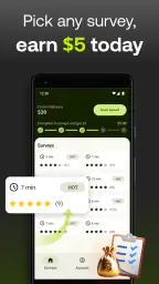 Five Surveys - Earn Money Fast 5