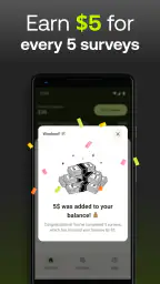 Five Surveys - Earn Money Fast 6