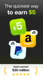 Five Surveys - Earn Money Fast 8