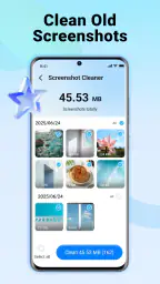 Flash Clean: Storage & Memory 4