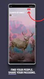Flipboard:Your Social Magazine 5