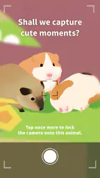 Forest Island: Relaxing Game 6