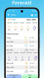 Froggy Weather 5