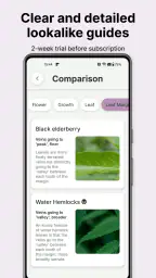 Gather: The Foraging App 2