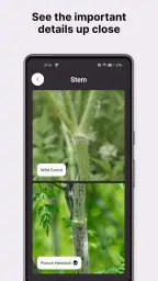 Gather: The Foraging App 3