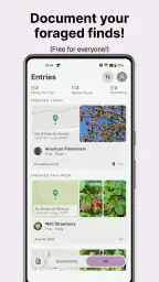 Gather: The Foraging App 4