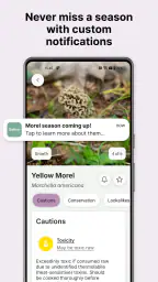 Gather: The Foraging App 5