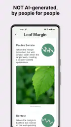 Gather: The Foraging App 8