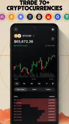 Gemini: Bitcoin Credit Card 4