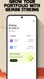 Gemini: Bitcoin Credit Card 6
