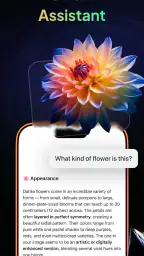 Gendi AI - Ask AI Assistant 5