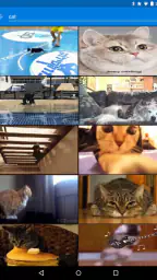 GIF Keyboard by Tenor 4