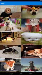 GIF Keyboard by Tenor 5