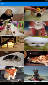 GIF Keyboard by Tenor screenshot