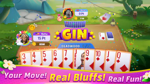 Gin Rummy Frenzy - Card Game 2