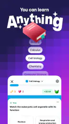 Gizmo: AI Flashcards and Tutor 1
