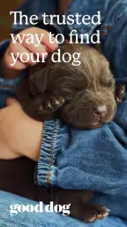Good Dog: Find Your Puppy 1