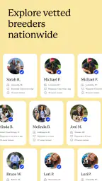 Good Dog: Find Your Puppy 2