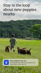 Good Dog: Find Your Puppy 3