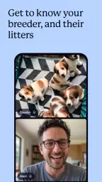 Good Dog: Find Your Puppy 4