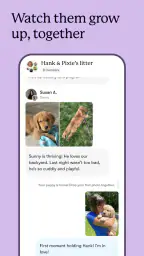 Good Dog: Find Your Puppy 6