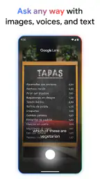 Google 4