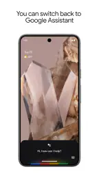 Google Assistant 6