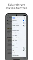 Google Docs 2