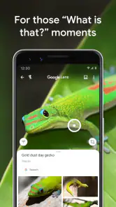 Google Lens screenshot