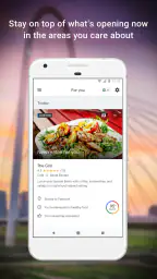 Google Maps 6