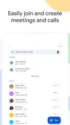 Google Meet 7