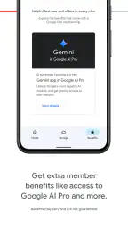 Google One 4