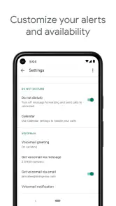 Google Voice screenshot