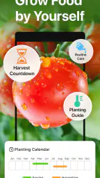 GrowIt: Vegetable Garden Care 1